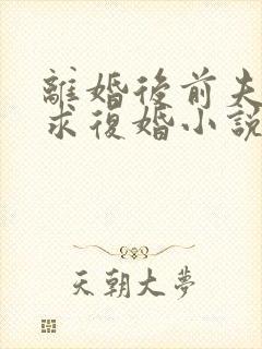 离婚后前夫哭着求复婚小说结局