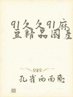 91久久91麻豆精品国产封面