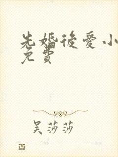 先婚后爱小说 免费封面