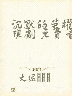 沉默的荣耀 电视剧 免费看封面