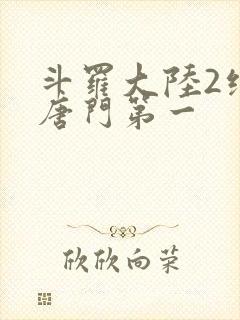 斗罗大陆2绝世唐门第一