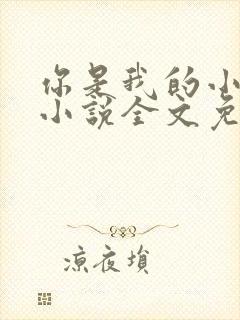 你是我的小确幸小说全文免费阅读