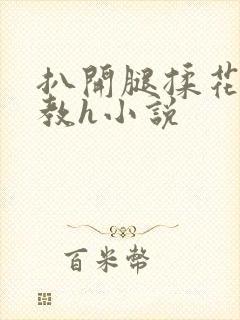 扒开腿揉花蒂调教h小说封面