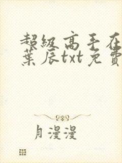 超级高手在都市叶辰txt免费下载封面