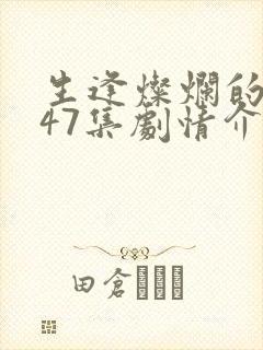 生逢灿烂的日子47集剧情介绍