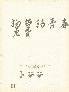 狗带的青春奇犽免费