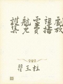 护航电视剧40集免费播放