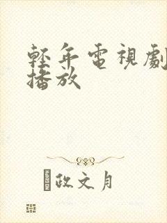 轻年电视剧在线播放封面