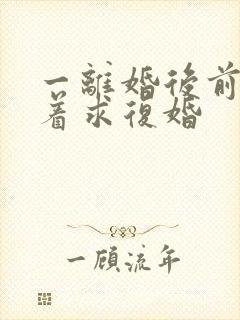 一离婚后前夫哭着求复婚封面