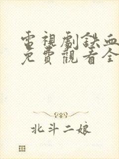 电视剧铁血将军免费观看全集