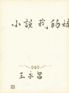 小说 我的娇妻