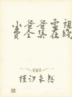 小爸爸电视剧免费全集在线观看封面