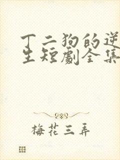 丁二狗的逆袭人生短剧全集免费封面