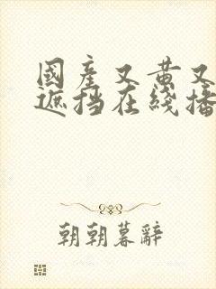 国产又黄又爽无遮挡在线播放