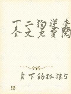 丁二狗逆袭人生全文免费阅读
