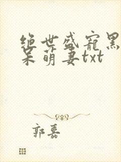 绝世盛宠黑帝的呆萌妻txt