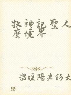 牧神记圣人是什么境界