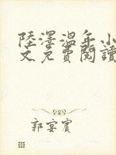 陆泽温年小说全文免费阅读