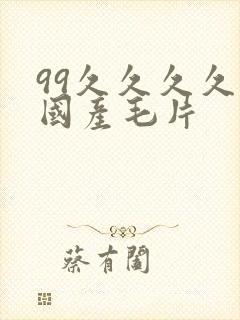 99久久久久久国产毛片