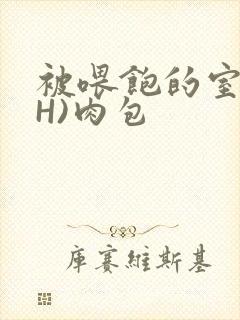 被喂饱的室友(H)肉包