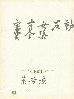 家有女友动画免费全集封面