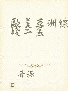 欧美亚洲综合在线二区