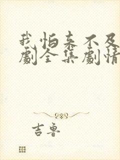 我怕来不及电视剧全集剧情介绍