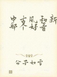 中古风和新中式哪个好看