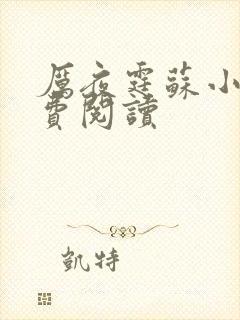 厉夜霆苏小汐免费阅读封面