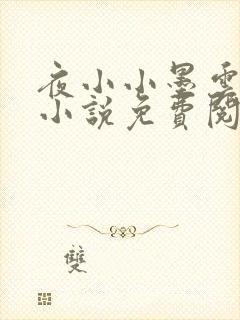 夜小小墨云晔的小说免费阅读