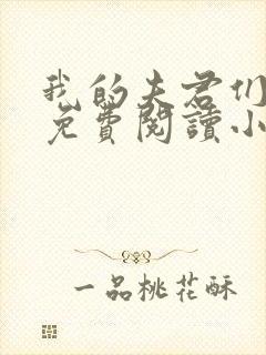 我的夫君们全文免费阅读小说封面