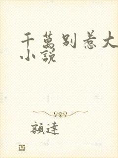 千万别惹大师兄小说