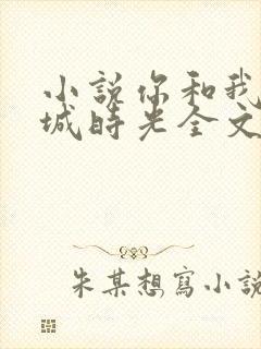 小说你和我的倾城时光全文免费阅读