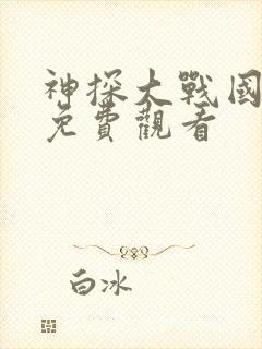 神探大战国语版免费观看