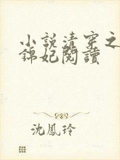 小说清穿之康熙锦妃阅读封面