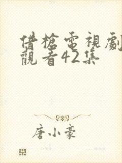 借枪电视剧免费观看42集