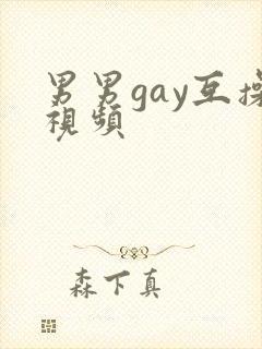 男男gay互操视频