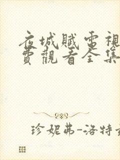 夜城赋电视剧免费观看全集完整版