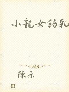 小龙女的乳头