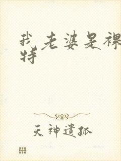 我老婆是裸体模特封面