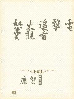 怒火追击电影免费观看