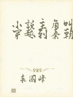 小说主角叫赵浪穿越到秦朝