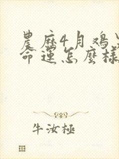 农历4月鸡男的命运怎么样