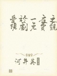 爱于一夜之位电视剧免费观看在线播放