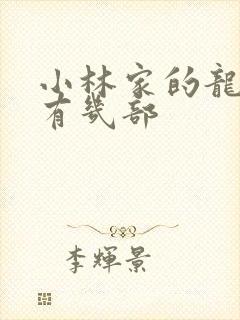 小林家的龙女仆有几部