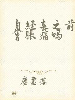 月经来之前乳房会胀痛吗