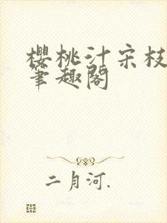 樱桃汁宋枝江野笔趣阁