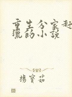 重生分家赶山打猎的小说