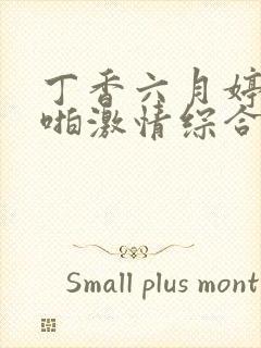 丁香六月婷婷啪啪激情综合