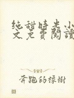 纯甜时光小说全文免费阅读封面